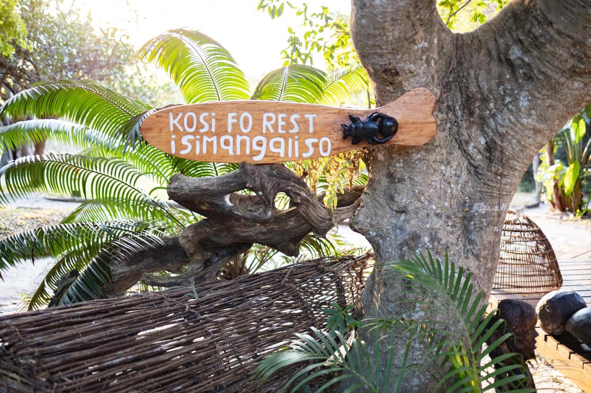 Kosi Forest Lodge Manguzi Buitenkant foto